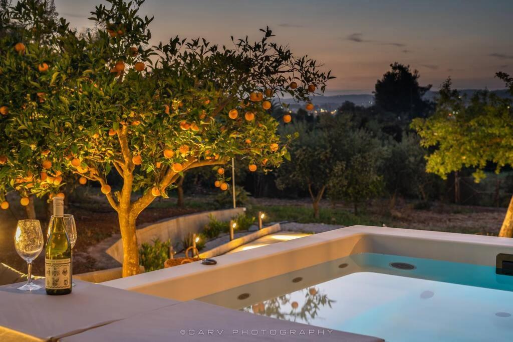 فيلا Orange Tree بورتو خيلي المظهر الخارجي الصورة