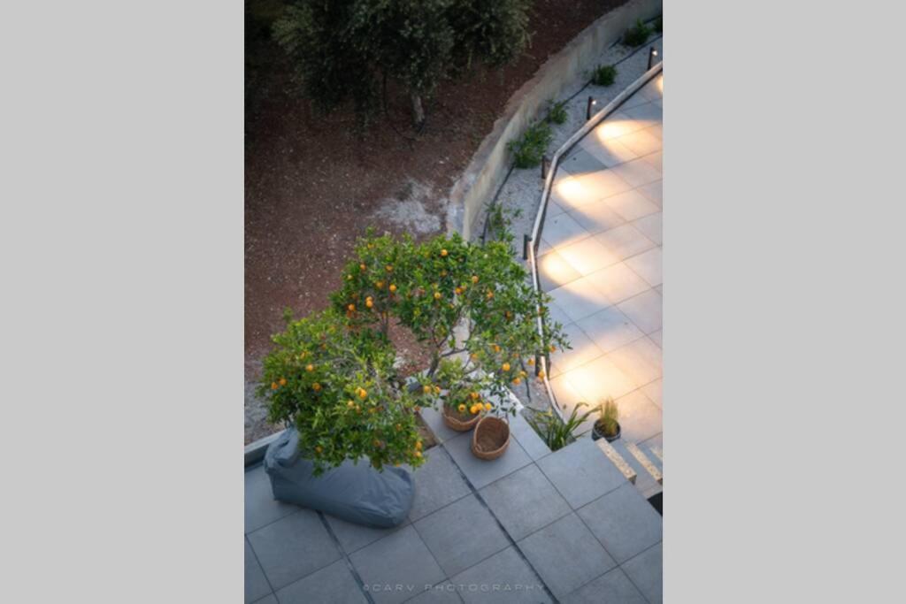 فيلا Orange Tree بورتو خيلي المظهر الخارجي الصورة