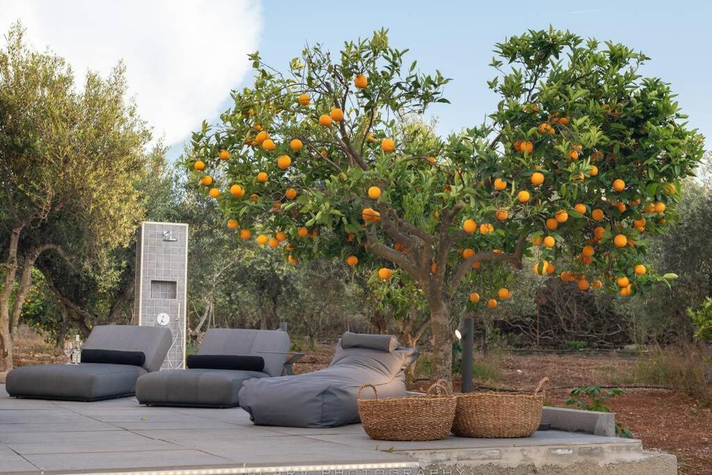 فيلا Orange Tree بورتو خيلي المظهر الخارجي الصورة