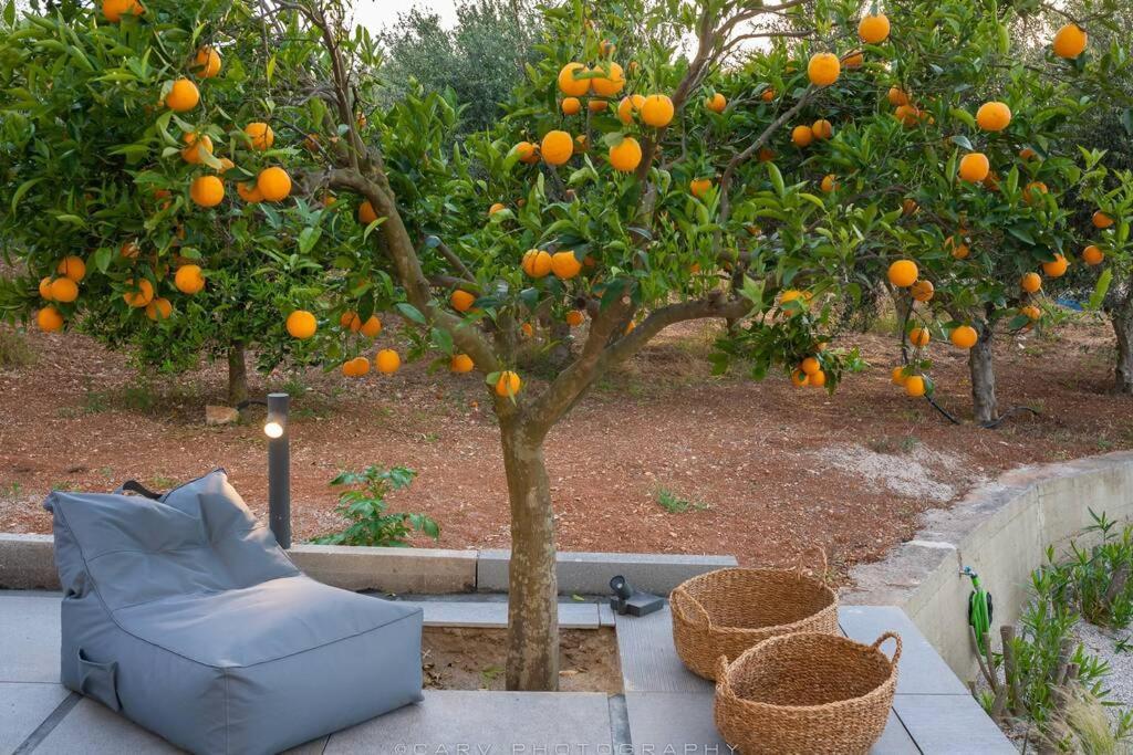 فيلا Orange Tree بورتو خيلي المظهر الخارجي الصورة